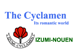 Cyclamen's world
